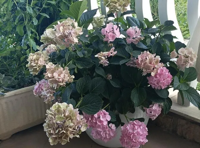 Feel Good Rab 131 Mundanije